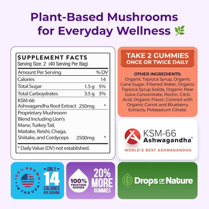 Mushroom Gummies - Focus e Energia Mental Natural